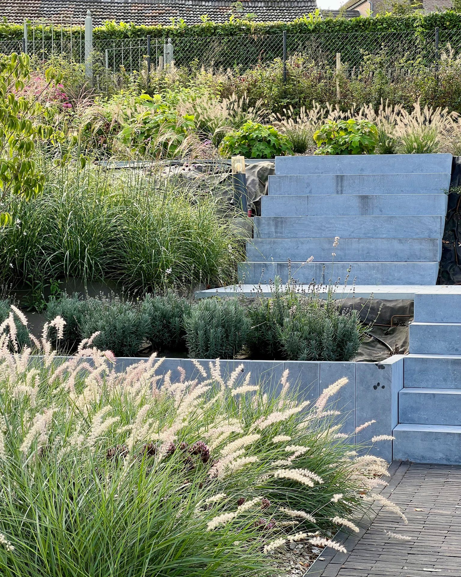 Terrasses en gradins et graminées